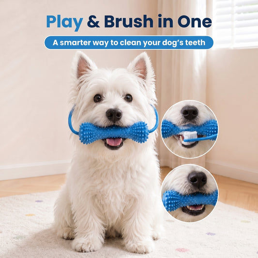 Woofidoo Dental Chew Toy