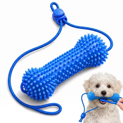 Woofidoo Dental Chew Toy