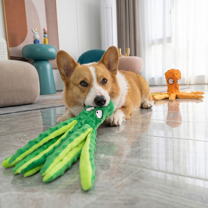 Corgi dog playing with a green plush squeaky octopus toy, an orange octopus toy in the background.