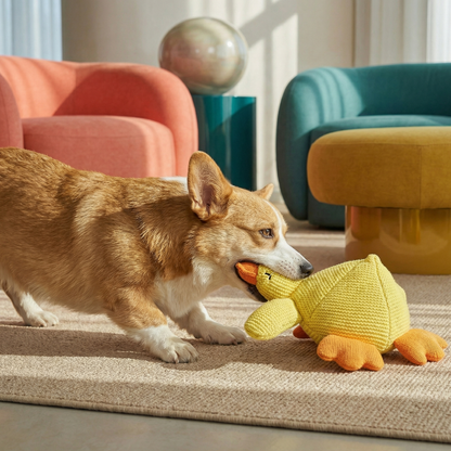 Corgi dog playing with a yellow knitted duck toy with orange feet and beak on a beige rug.