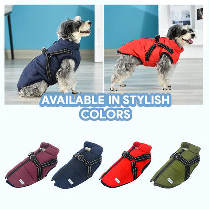 Two small dogs model a navy and red waterproof winter dog coat with a built-in harness. Four coats in burgundy, navy, red, and olive green are shown below.