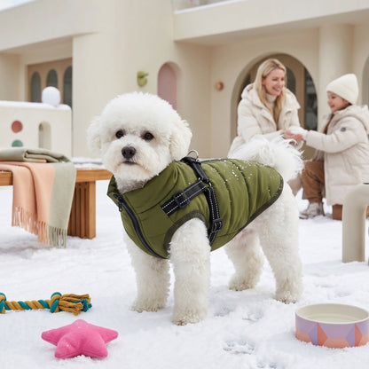 White fluffy dog in a warm olive green puffer coat with a built-in harness, standing in snow.