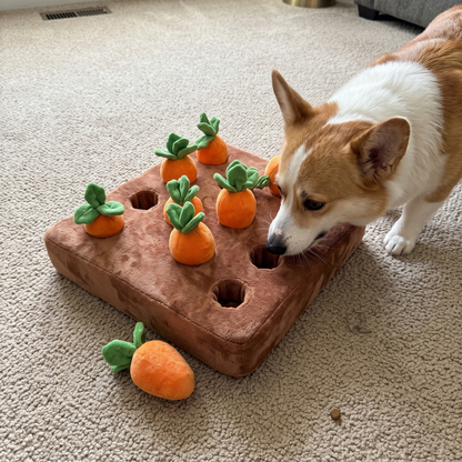 Woofidoo Carrot Farm Snuffle Mat