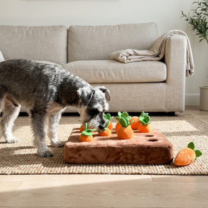 Woofidoo Carrot Farm Snuffle Mat