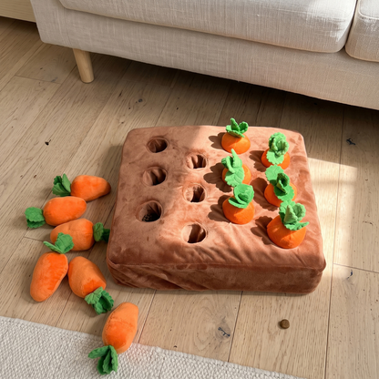 Woofidoo Carrot Farm Snuffle Mat