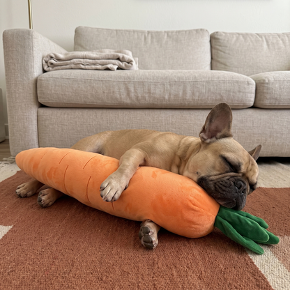 Woofidoo Carrot Plush Giant Dog Toy