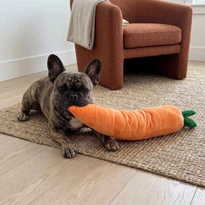 Woofidoo Carrot Plush Giant Dog Toy