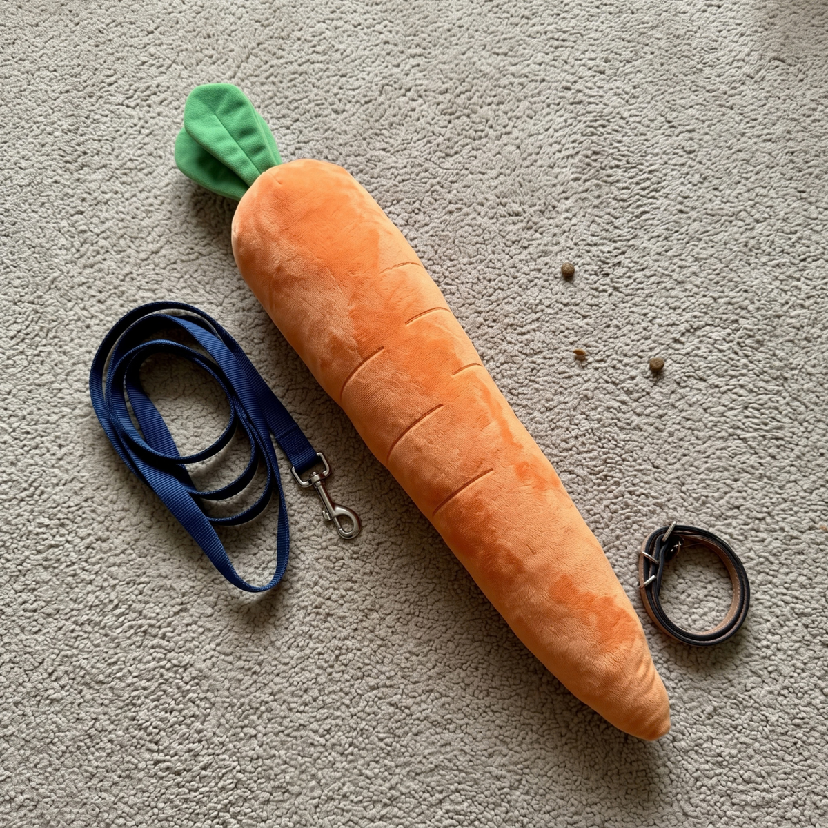 Woofidoo Carrot Plush Giant Dog Toy
