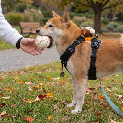Woofidoo Duraball Tough Chew Toy