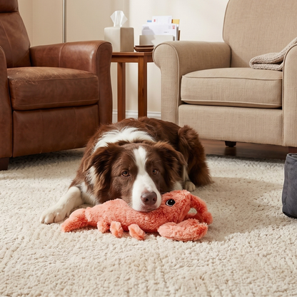 Woofidoo Floppy Lobster Interactive Dog Toy