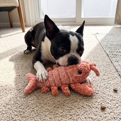 Woofidoo Floppy Lobster Interactive Dog Toy