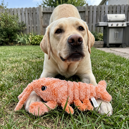Woofidoo Floppy Lobster Interactive Dog Toy