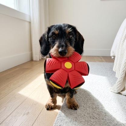 Woofidoo Flying Saucer Fetch Toy