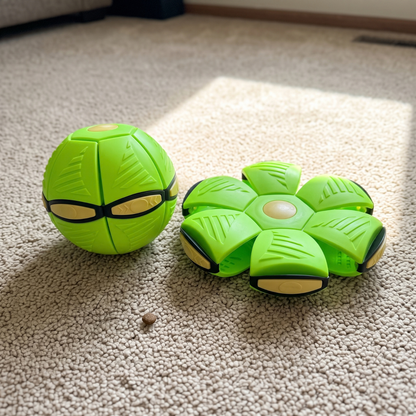 Woofidoo Flying Saucer Fetch Toy