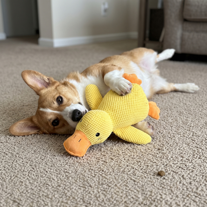 Woofidoo Quack Chew Durable Duck