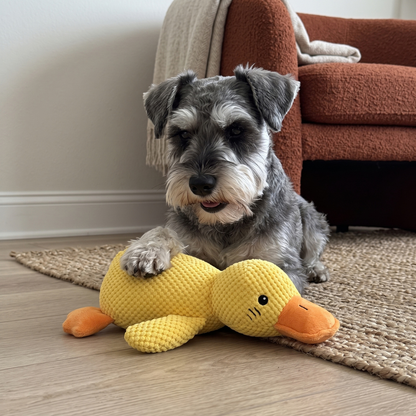 Woofidoo Quack Chew Durable Duck