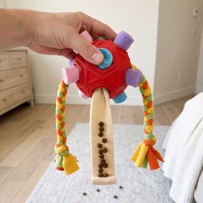 Woofidoo Snuffle Ball Treat Toy