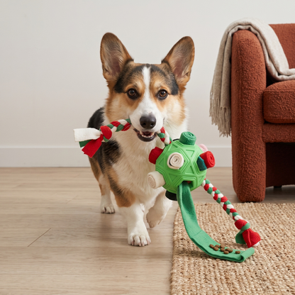 Woofidoo Snuffle Ball Treat Toy