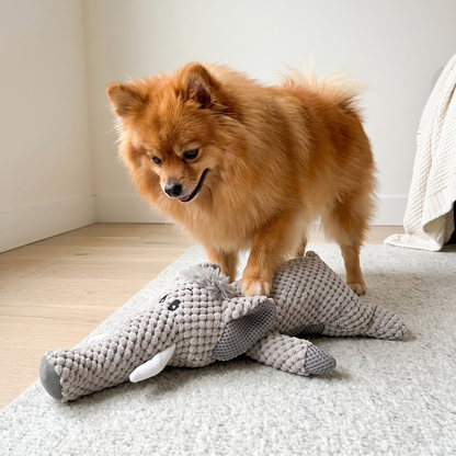 Woofidoo Snuggle Buddy Plush Chew Toy