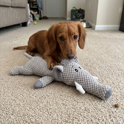 Woofidoo Snuggle Buddy Plush Chew Toy